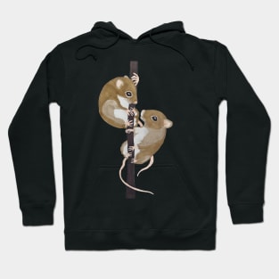 Two Mice in Love Hoodie